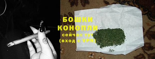 spice Белокуриха