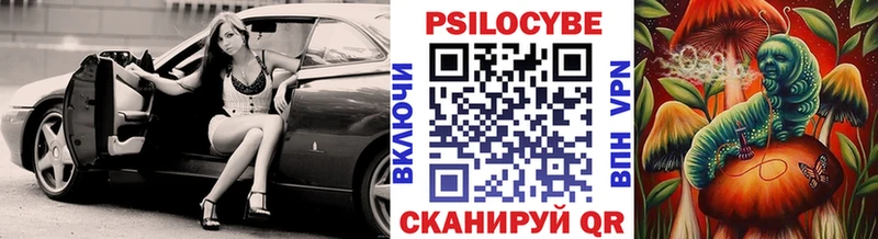 маркетплейс состав  Черняховск  Галлюциногенные грибы GOLDEN TEACHER 