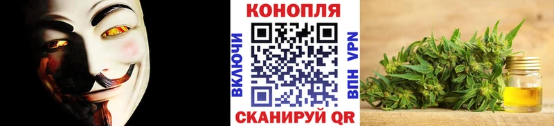 Каннабис THC 21%  где купить   мориарти формула  Черняховск 